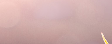 Evkaliptusovo olje (Eucalyptus)